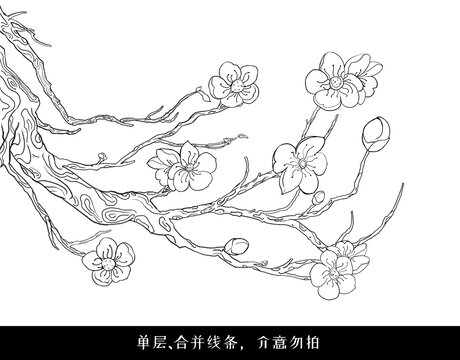 梅花线稿国风手绘插画