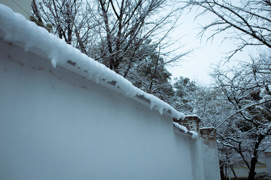 冬雪