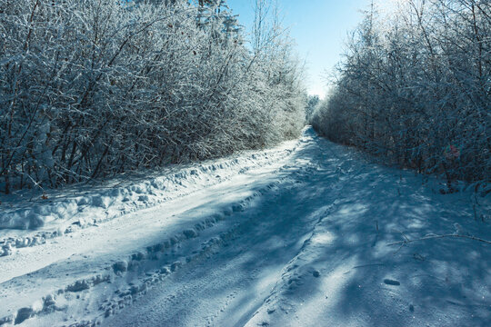 冬季森林道路积雪雾凇