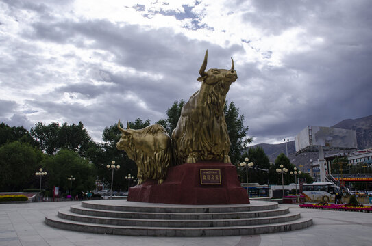 拉萨药王山公园牦牛铜雕塑