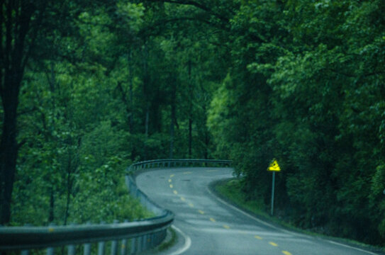 曲径通幽的林荫公路