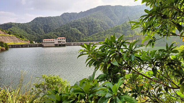 水上的风景