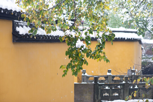 浙江杭州三天竺法净禅寺雪景