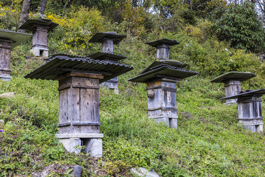 山区养蜂场景