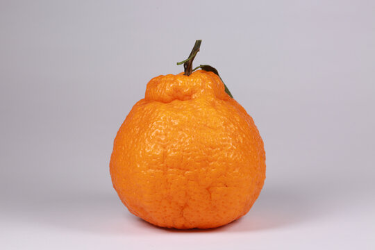 丑橘子平视