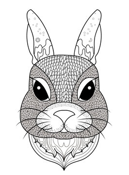 十二生肖兔子插画兔头