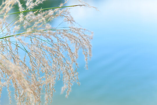 从化流溪河