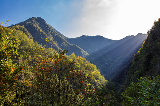 荆山主峰