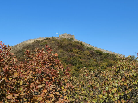 北京八达岭长城红叶岭