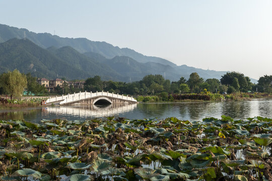 重庆大足龙水湖湿地公园