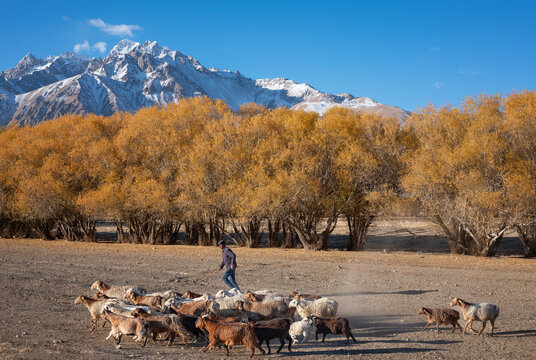 新疆帕米尔高原慕士塔格峰