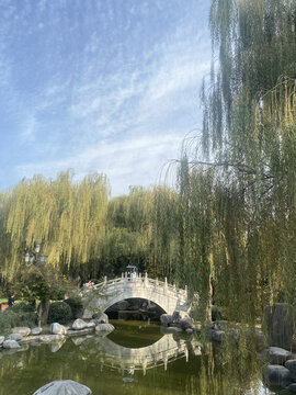 柳树旅游风景小桥流水