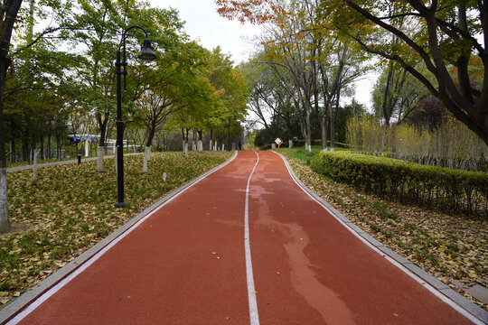 城阳奥林匹克公园世纪公园健身路