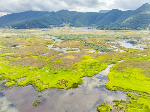 云南丽江泸沽湖草海风光