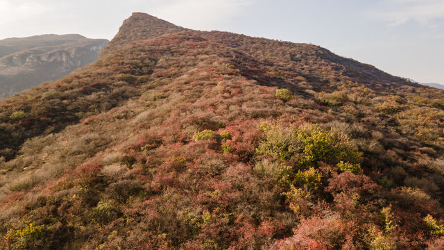 航拍北京房山坡峰岭秋日红叶