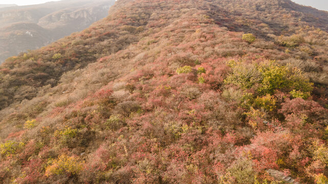 航拍北京房山坡峰岭秋日红叶