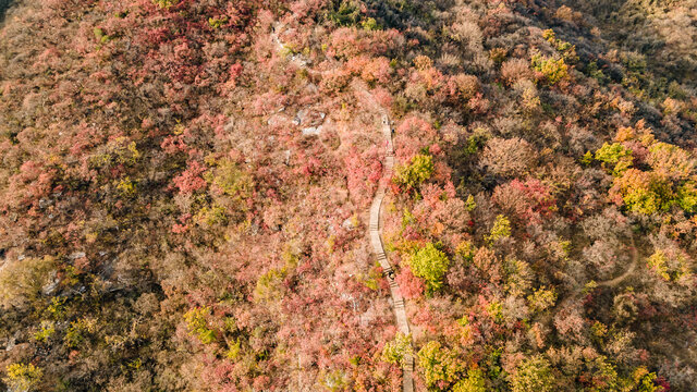 航拍北京房山坡峰岭秋日红叶