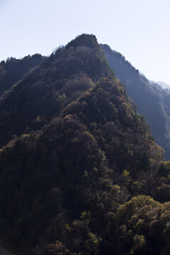 秦岭山峰