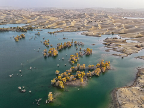 新疆南疆沙漠湖泊胡杨林