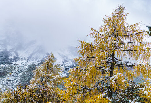 毕棚沟雪山