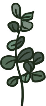 植物扁平插画