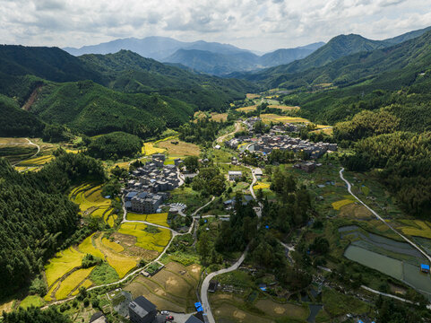 航拍广东连州欧家黑山梯田稻谷