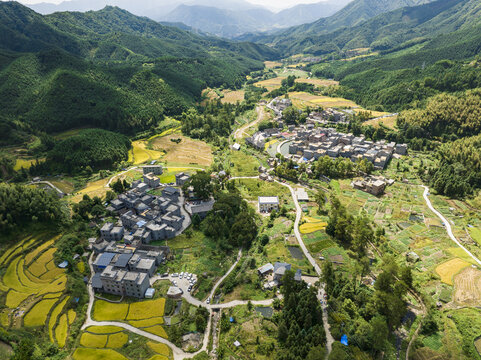 航拍广东连州欧家黑山梯田稻谷