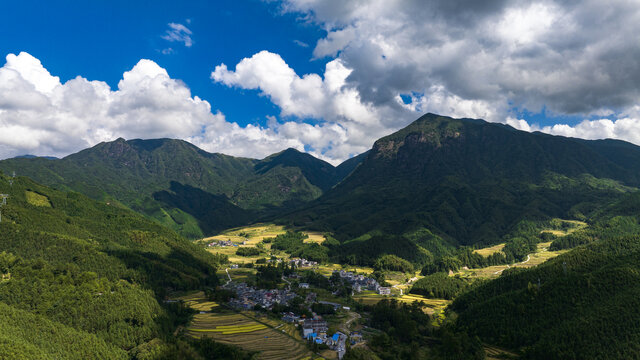 航拍广东连州欧家黑山梯田稻谷