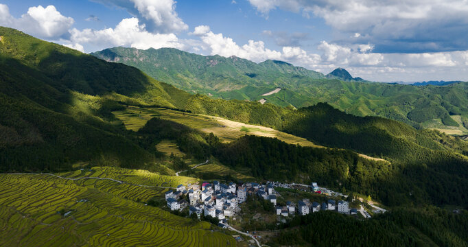 航拍广东连州欧家黑山梯田稻谷