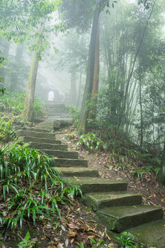 石头台阶