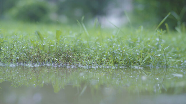 雨季