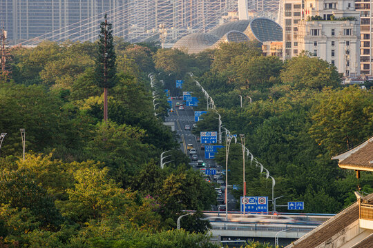 城市森林道路