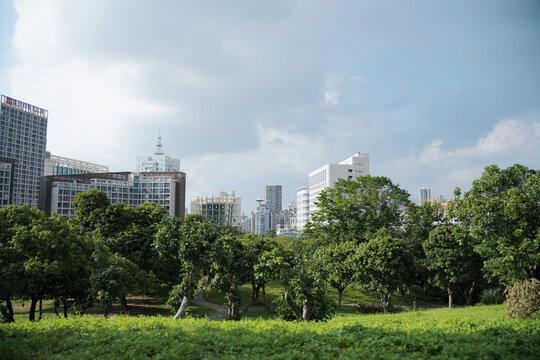 东莞的城市风景