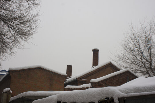 东北雪景