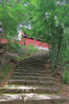 红墙绿竹石阶