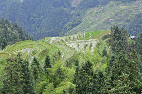 山区梯田