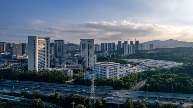 龙岗建筑高楼