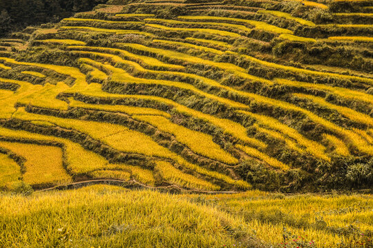 秋景