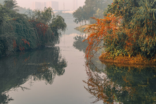 沙河风光