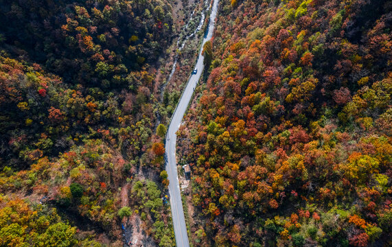 陕西汉中最美乡村公路高江路秋景