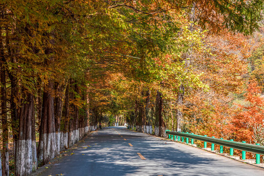 陕西汉中最美乡村公路高江路秋景