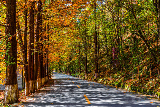 陕西汉中最美乡村公路高江路秋景