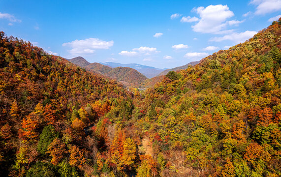 陕西秦岭秋色秋景