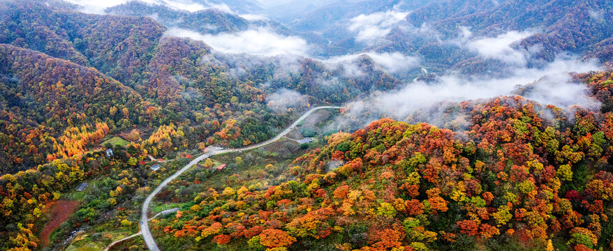 陕西秦岭秋色秋景