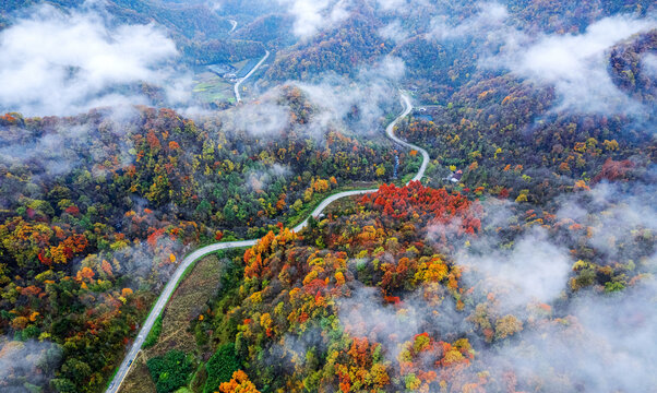 陕西秦岭秋色秋景