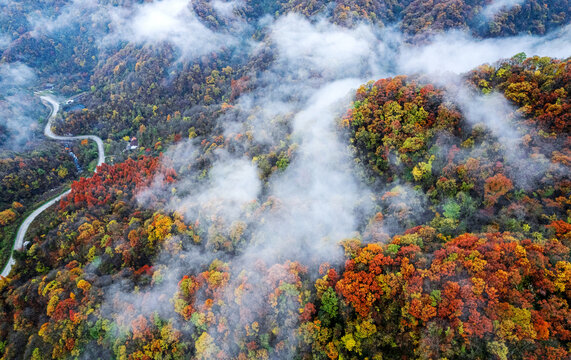 陕西秦岭秋色秋景