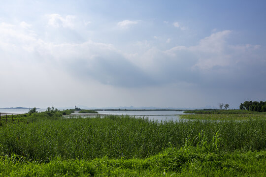 太湖湿地风光