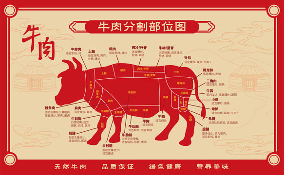 牛肉分割图