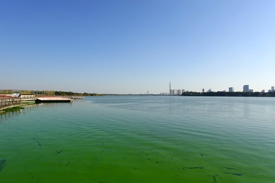湖面蓝藻水华绿潮