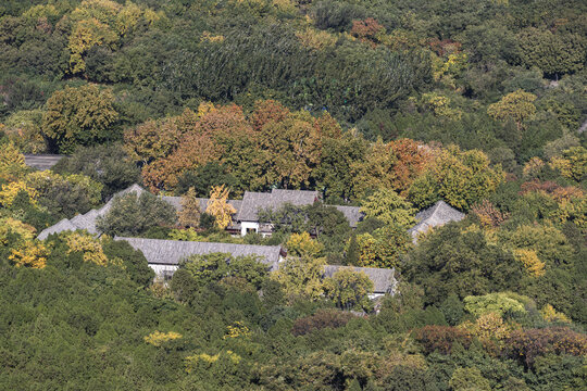 鸟瞰秋林中的古建筑